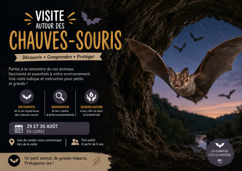 Salbart_chauves_souris